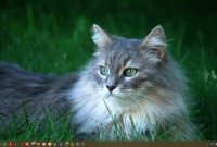 How To Troubleshoot Common Computer Problems