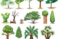 Tropical palm trees branches Stock Vector Images - Alamy Understanding Compound Interest For Savings